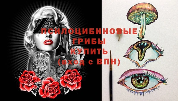 прущие грибы Алексеевка